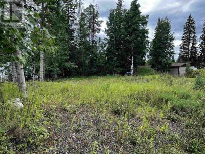 11610 ROSS STREET, Hudsons Hope, British Columbia V0C 1V0, Canada
