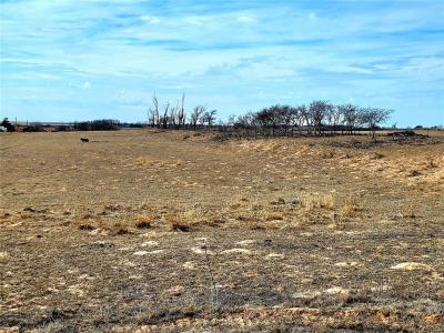 NS County Rd 206 Road, Blair, Oklahoma 73526, USA