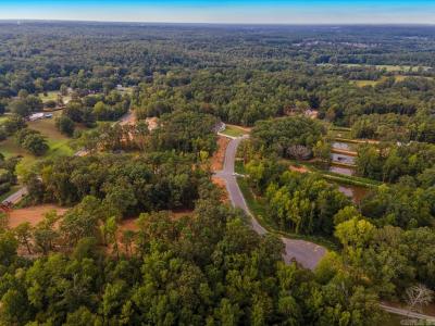 Lot 19 Clear View Drive, Benton, Arkansas 72019, États-Unis