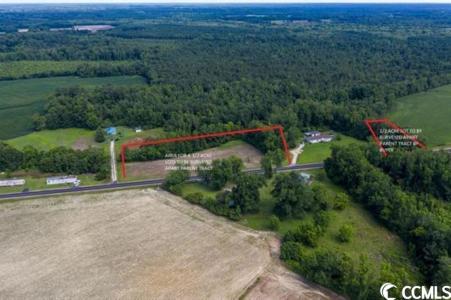 TBD Long Branch Swamp Rd., Green Sea, サウスカロライナ 29545, アメリカ合衆国