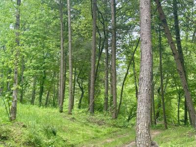 1807 Baldwin Rd Lot 7, McKee, Kentucky 40447, USA
