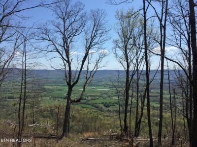 Bench Rd, Pikeville, טנסי 37367, ארצות הברית של אמריקה