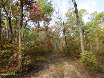 Bench Rd, Pikeville, Tennessee 37367