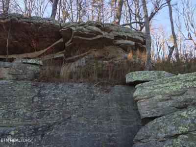 Bench Rd, Pikeville, Tennessee 37367