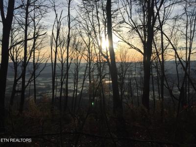 Bench Rd, Pikeville, Tennessee 37367