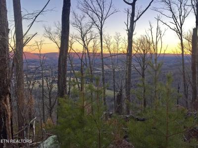 Bench Rd, Pikeville, טנסי 37367, ארצות הברית של אמריקה