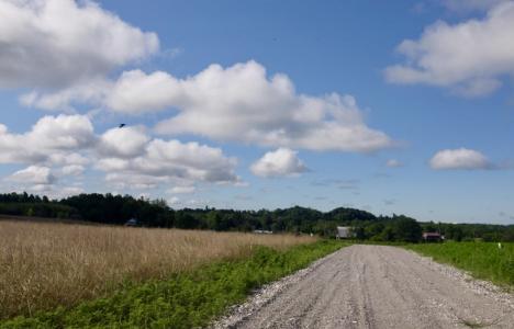 Lot 61 Bull Run Rd, East Bernstadt, Kentucky 40729