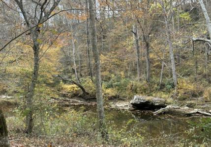Lot 5 Baldwin Rd, McKee, Kentucky 40447, Amerika Birleşik Devletleri