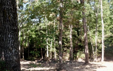 Lot 28 Cliff Line Drive, London, Kentucky 40744, États-Unis