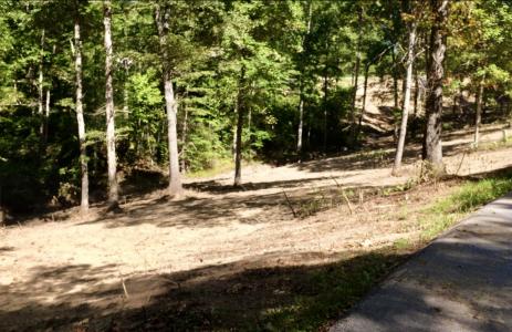 Lot 28 Cliff Line Drive, London, Kentucky 40744, États-Unis