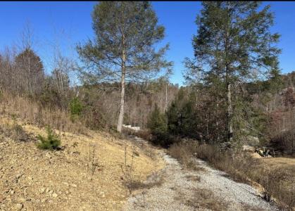 Lot 6 Sleepy Hollow Rd, East Bernstadt, 肯塔基州 40729, 美国