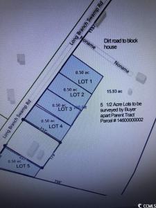 TBD Long Branch Swamp Rd., Green Sea, SC 29545, USA