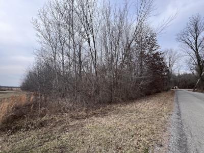 11 Choctaw Drive, Carbondale, Иллинойс 62901, Соединенные Штаты