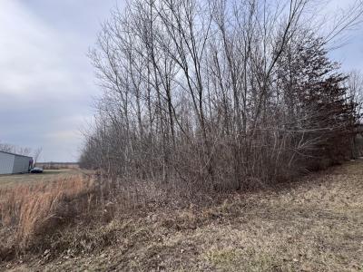 11 Choctaw Drive, Carbondale, Иллинойс 62901, Соединенные Штаты