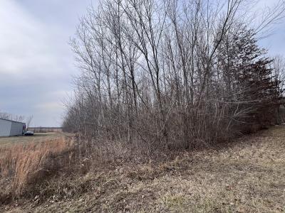 11 Choctaw Drive, Carbondale, Иллинойс 62901, Соединенные Штаты