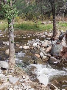 TBD Camino Hidalgo 109, Rio Rico, Arizona 85648, États-Unis