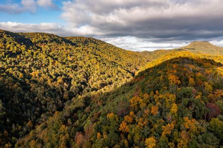 378 Ac Caney Creek Lane, Greeneville, Tennessee 37745, USA