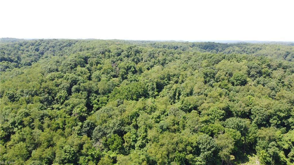 Locust Hill Rd, Chester, Virgínia Ocidental 26034, Estados Unidos