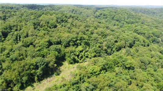 Locust Hill Rd, Chester, WV 26034, USA