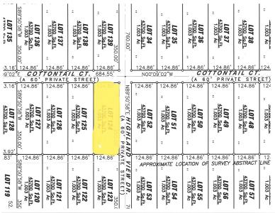 6001 Cotton Tail Court, Springtown, Texas 76082, USA