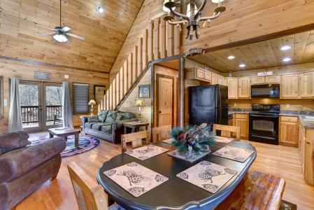 166 Dallas Lane, Blue Ridge, Georgia 30513, USA