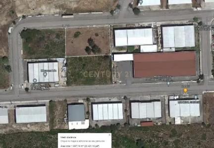 Pombal, Leiria 3105-292, Portugalia