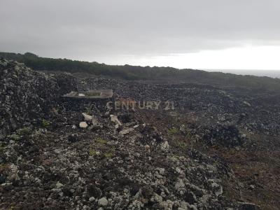 Madalena, Ilha Do Pico 9950-232, פורטוגל 