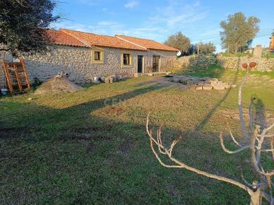 Idanha a Nova, Castelo Branco 6060-191, Portugal