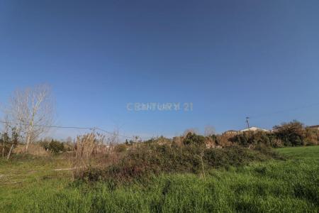 Montemor O Velho, 科英布拉 3140-601, 葡萄牙