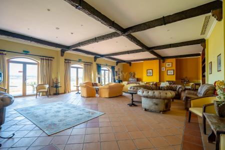 Alter Do Chão, Portalegre 7440-251, Portugal