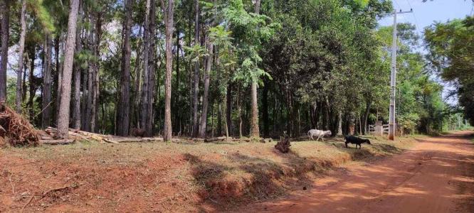 santa elena , Santa Elena, Cordillera 00001, Paraguay