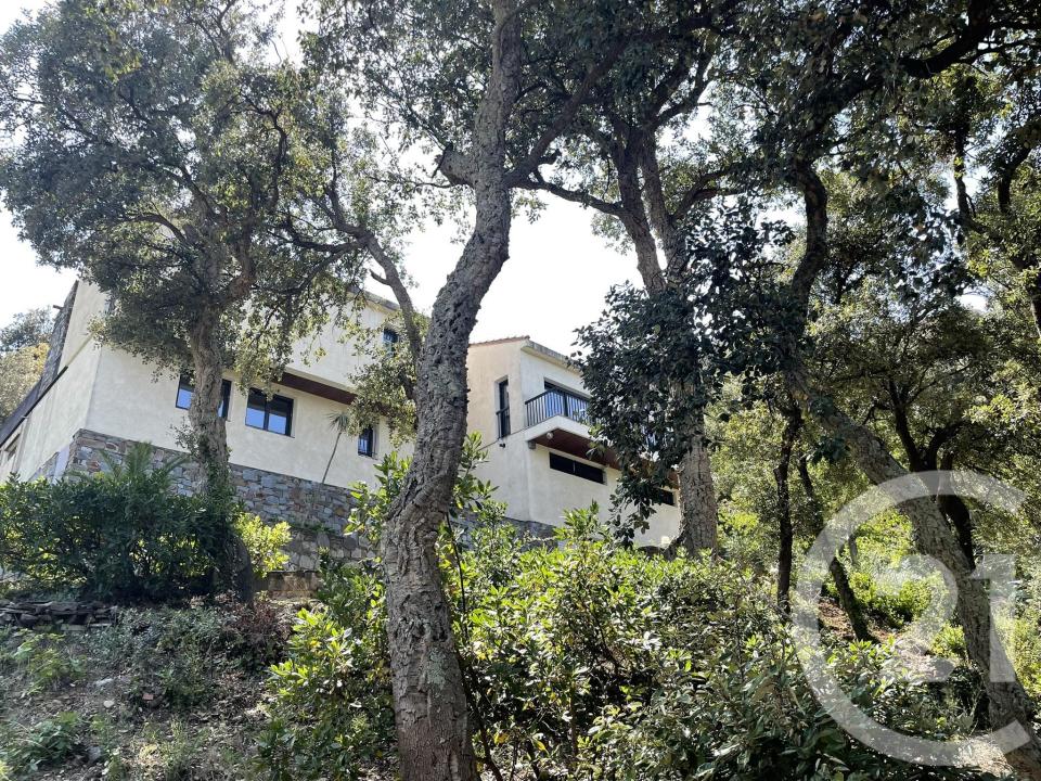 Le Boulou, Languedoc-Roussillon 66160, 法國