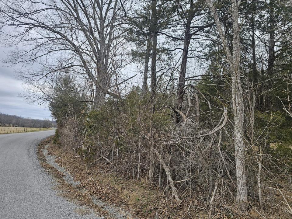 2 Love Branch Rd, Hampshire, 田纳西州 38461, 美国