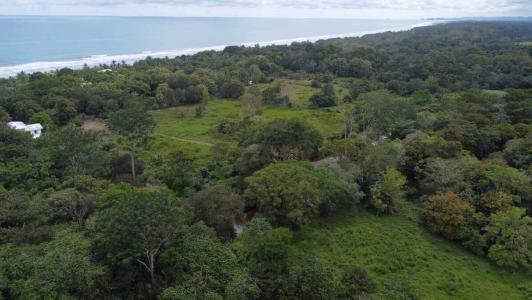 Dominical Aguirre, Puntarenas 00001, Costa Rica