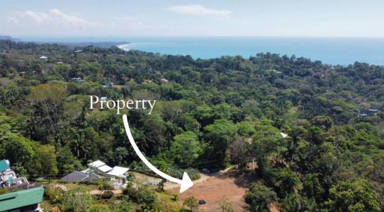 Bahía Ballena Osa, Puntarenas 00001, Kosta Rika