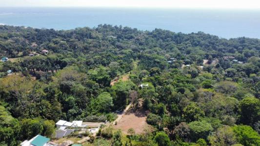 Bahía Ballena Osa, Puntarenas 00001, Kosta Rika