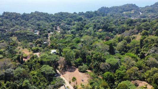 Bahía Ballena Osa, Puntarenas 00001, Kosta Rika