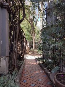 Campos eliseos 305,, Miguel Hidalgo, Ciudad De México 11540, Mexico