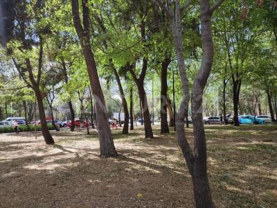 Campos eliseos 305,, Miguel Hidalgo, Ciudad De México 11540, Mexico