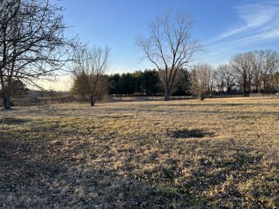 N Reed Station Road, DeSoto, Illinois 62924