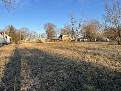 N Reed Station Road, DeSoto, Illinois 62924