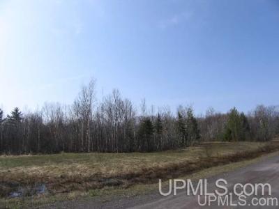 Lot 2 Airport Park, Hancock, Michigan 49930, États-Unis