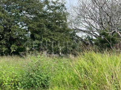 Tampico, Tamaulipas 89364, Mexico