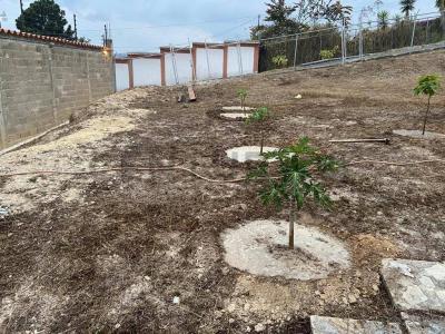 peña alta Terreno de1997m2 en Peña alta El Faro San Antonio, San Antonio De Los Altos, Miranda 1204, Venezuela