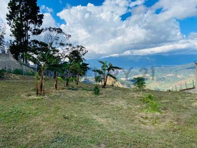 peña alta Terreno de1997m2 en Peña alta El Faro San Antonio, San Antonio De Los Altos, Miranda 1204, Venezuela