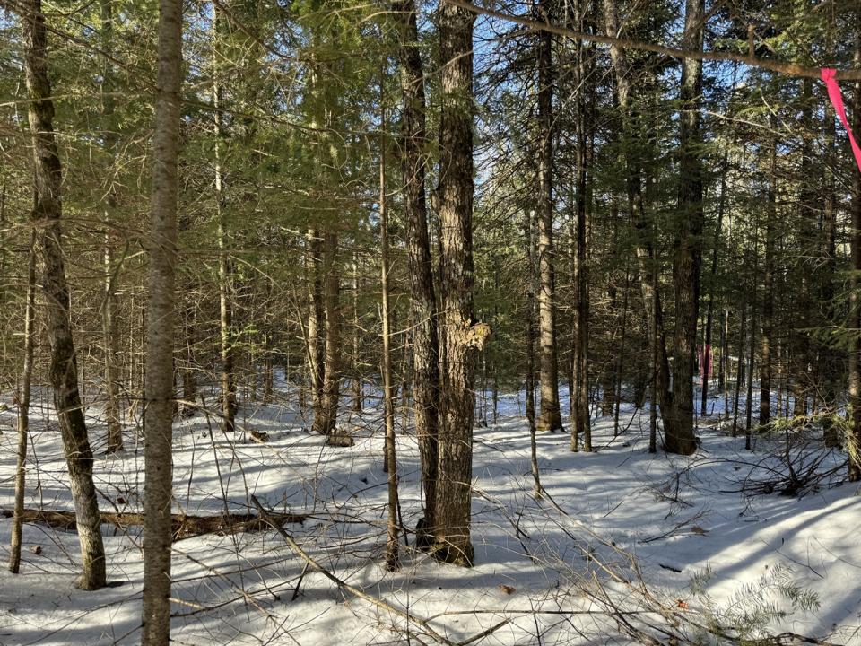 Lot 4 CSM 638 Mercer Lake Circle S, Mercer, Wisconsin 54547