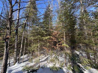 Lot 4 CSM 638 Mercer Lake Circle S, Mercer, Wisconsin 54547