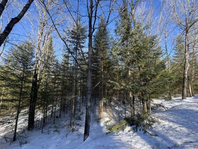 Lot 4 CSM 638 Mercer Lake Circle S, Mercer, Wisconsin 54547