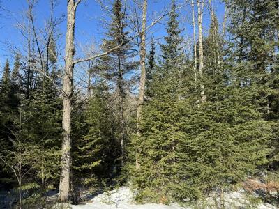Lot 4 CSM 638 Mercer Lake Circle S, Mercer, Wisconsin 54547