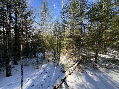 Lot 4 CSM 638 Mercer Lake Circle S, Mercer, Wisconsin 54547
